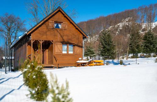 Alpejskie domki Karkonosze - Foto 1