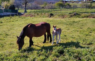 La Escuela de Premio - Foto 47