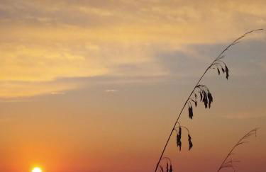 Villa Panorama - Foto 42