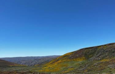 Apartamentos Sanabria - Foto 40