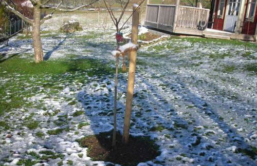 Holzferienhaus - Foto 44