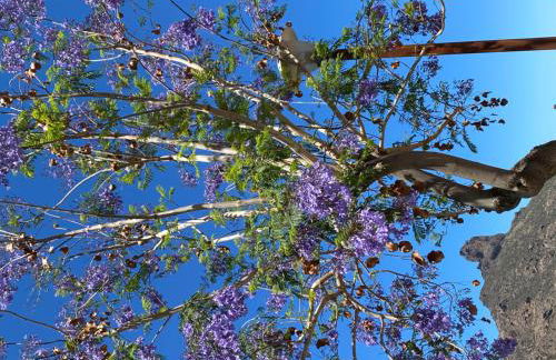 RURAL HOUSES SERAFIN Casa Rural Serafin THE BEST VIEWS - Foto 50