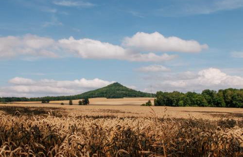 Wietorówka - Foto 33