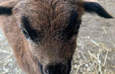 Ferienhaus Spielburg - Foto 74