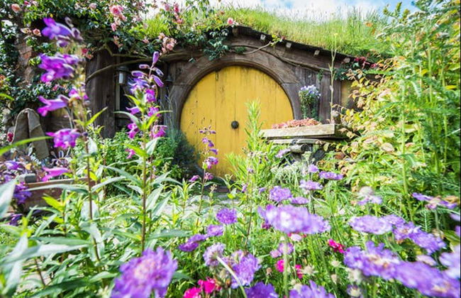 Excursion à Hobbiton et Rotorua - Photo 3