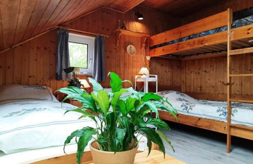 Ferienwohnung Schlingshöhe - Oberwohnung mit separater Terrasse - Foto 24