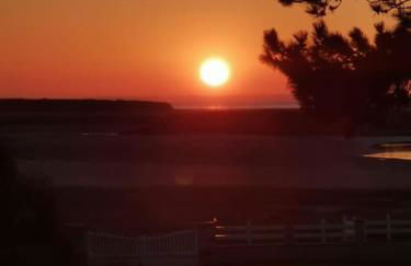 La Picotterie - Photo 22