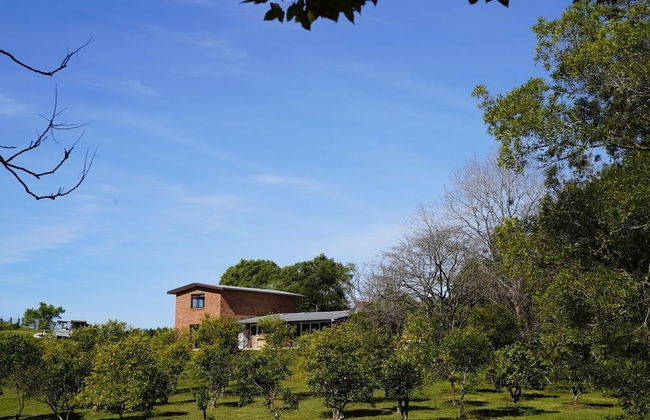 McCarthy Grove - Photo 22