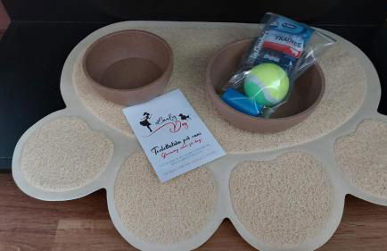 Dany Lodge Livigno - Foto 28