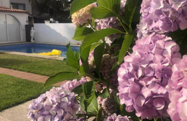 Cova dos Frei - Foto 39