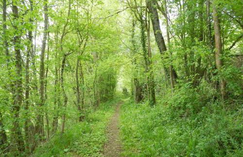Gite campagne - Vue Pyrénées - Piscine - Photo 21