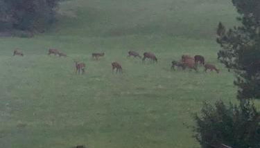 Alpine nest in Val di Zoldo - Foto 1