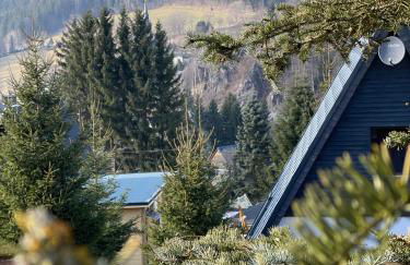 Kleines Chalet im Erzgebirge mit Sauna und Kamin - Foto 1