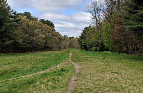 Spacious Two Bedroom Apartment - Foto 30