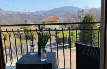 il tulipano - Photo 2