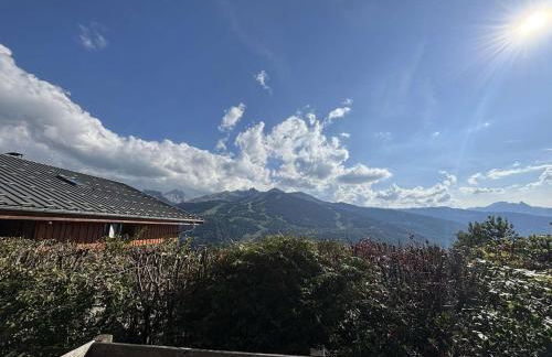 Chalet école des cimes - Foto 22