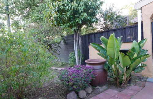 Minimalist Luxury Home With Botanic Garden - Foto 30