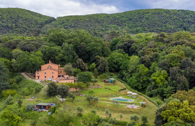 Fiordaliso - Foto 69