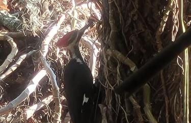 hunker bunker river front 2 - Foto 28