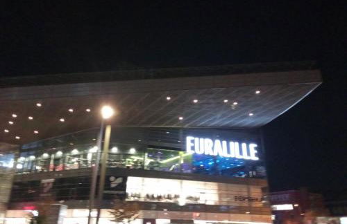 Lille Centre gare Lille Europe - Foto 6