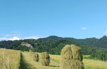 Agroturystyka Pod Zamczyskiem - Photo 7