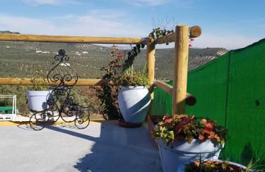 Cortijo de la Cruz - Foto 29