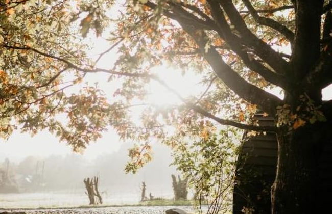 Caplor Glamping and Lodges - Photo 1