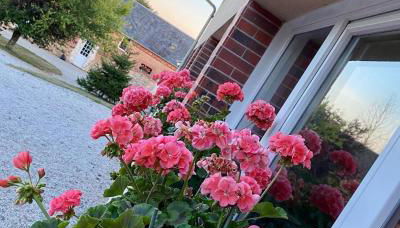 Gîte Gold au Domaine de Saint Vigor - Foto 2