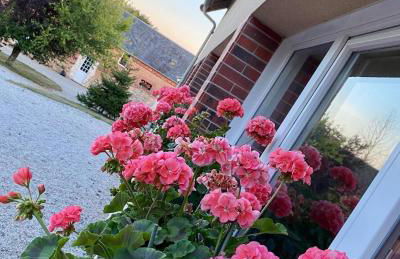 Gîte Gold au Domaine de Saint Vigor - Photo 2