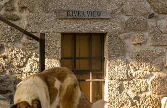 River View ate Terrus Winery - Foto 10