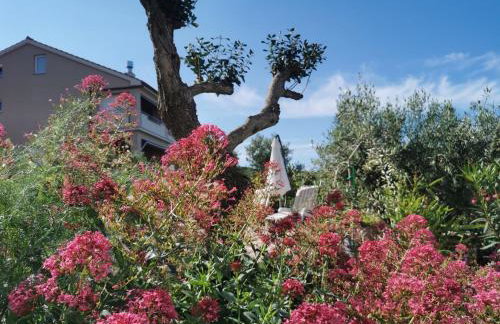 Apartman Franolic Punat - Foto 45