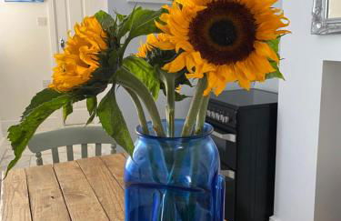 Aurora Tor - Photo 18