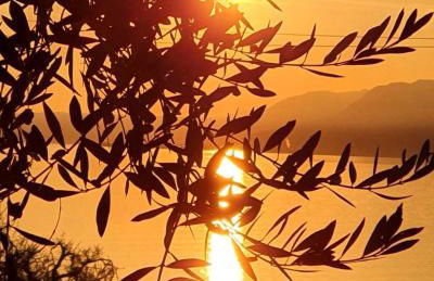 Appartamento con vista Lago Casa Gaspar - Foto 37