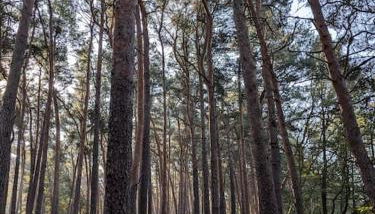 Haus am See - Photo 4