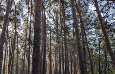 Haus am See - Foto 4