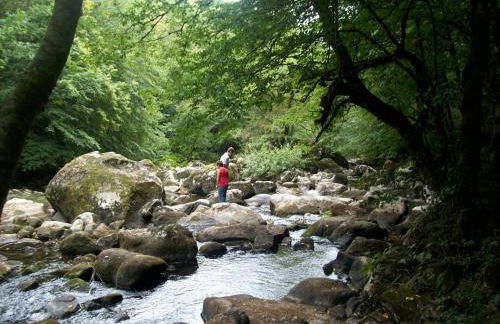 Number 22 - Le Dorat - Apartment 3 with garden & free parking - Foto 33