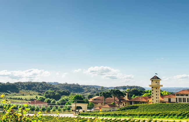 Excursión al Vale dos Vinhedos - Foto 1