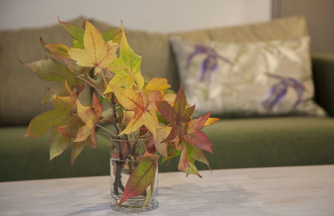 22 Hallenstein Apartments by Staysouth - Photo 38