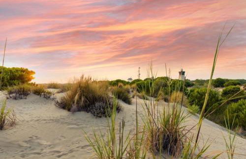 Studio Cabine avec terrasse ensoleillée, piscines, parking privé, à 500m de la plage - FR-1-307-133 - Foto 20