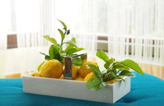 Villa Oasis with Large Pool Athenian Riviera Lagonissi - Foto 40