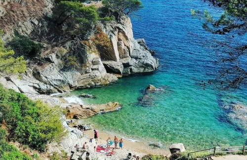 La calma de Tossa - Foto 46