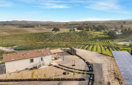 Bombay Chardonnay by AvantStay Modern Paso Home Pavilion Dining and Vineyard Views - Foto 35