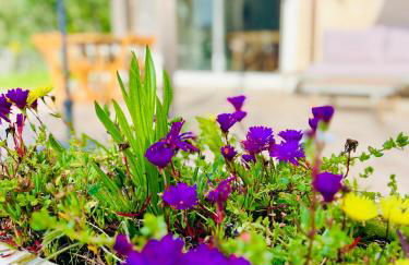 Loft entre mer et campagne à 5 min d'Ajaccio classé 4 étoiles - Foto 53