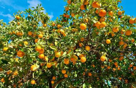 Casa Esperanza - Foto 30