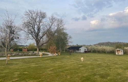 Orchard Retreat - Rural Cabin - Private Hot Tub! - Photo 22