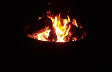 Saughall Mill Farm Cottage - Photo 126