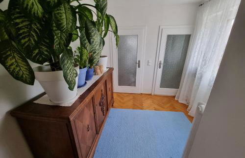 Ferienwohnung Kirsten - Foto 33