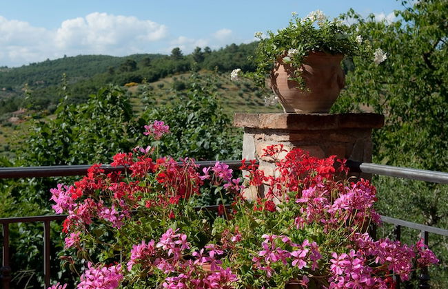 Borgo San Savino - Foto 34