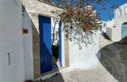 Clive and Bifi's house - Foto 1