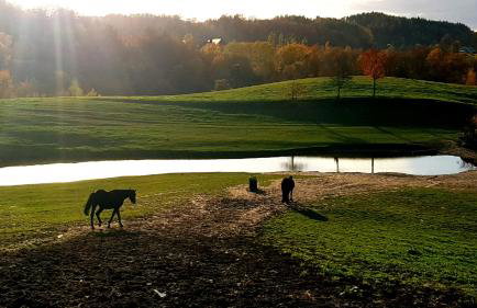 Przystanek Patulskie - Foto 52
